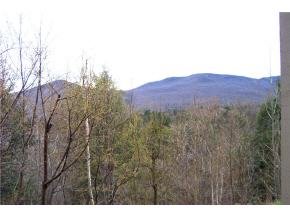 1229 Notchbrook Rd, Unit 30CS