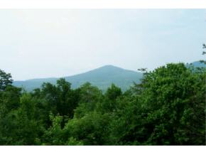 1229 Notchbrook Rd, Unit 34AB