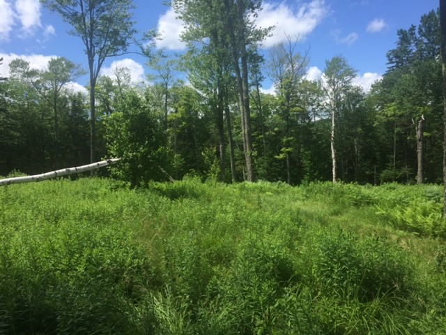 123 Beaver Lane