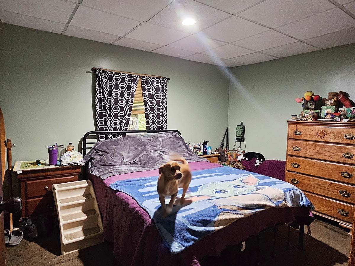 1st Floor Bedroom - Back House