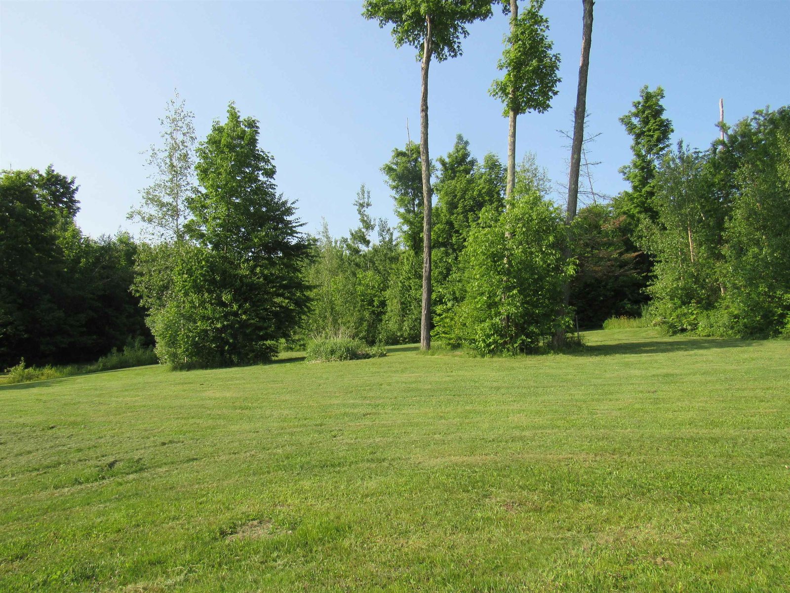 1232 Clark Mountain Road