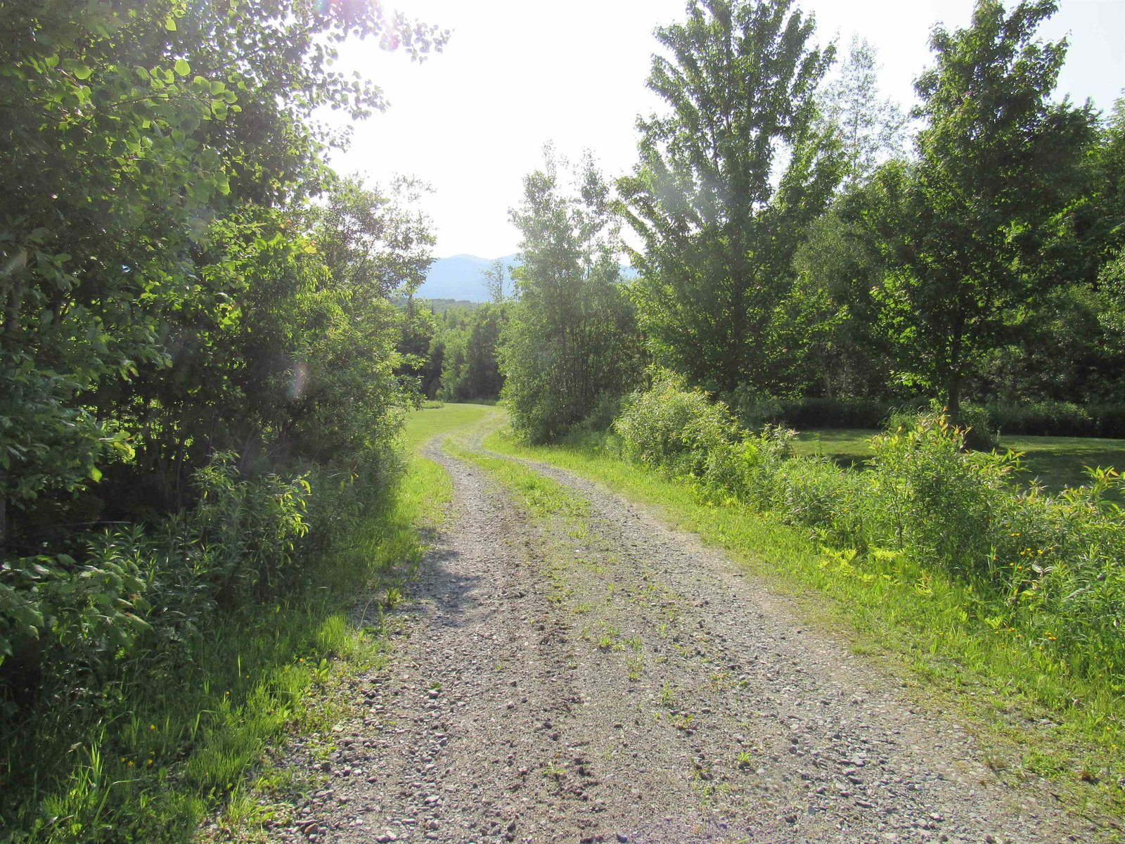 1232 Clark Mountain Road