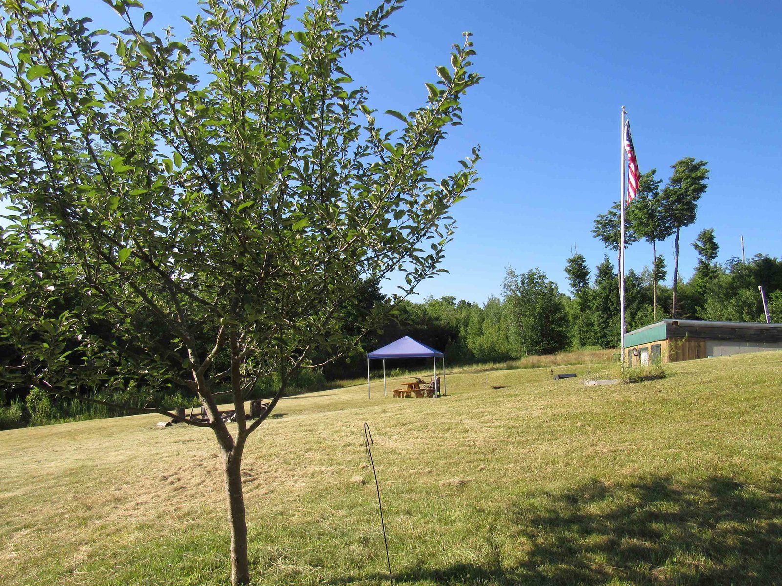 1232 Clark Mountain Road