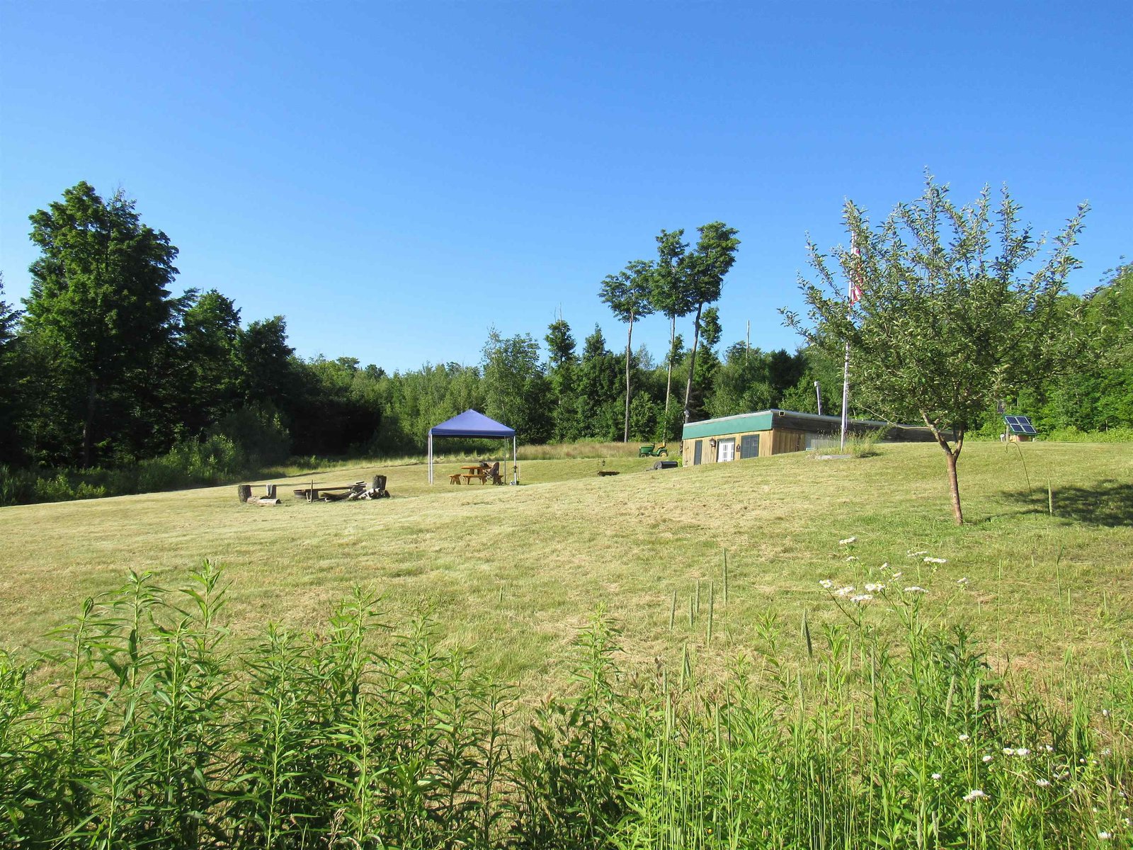 1232 Clark Mountain Road