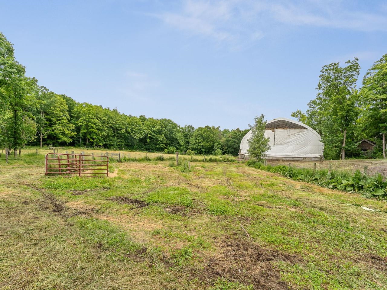 1233 Satterly Road