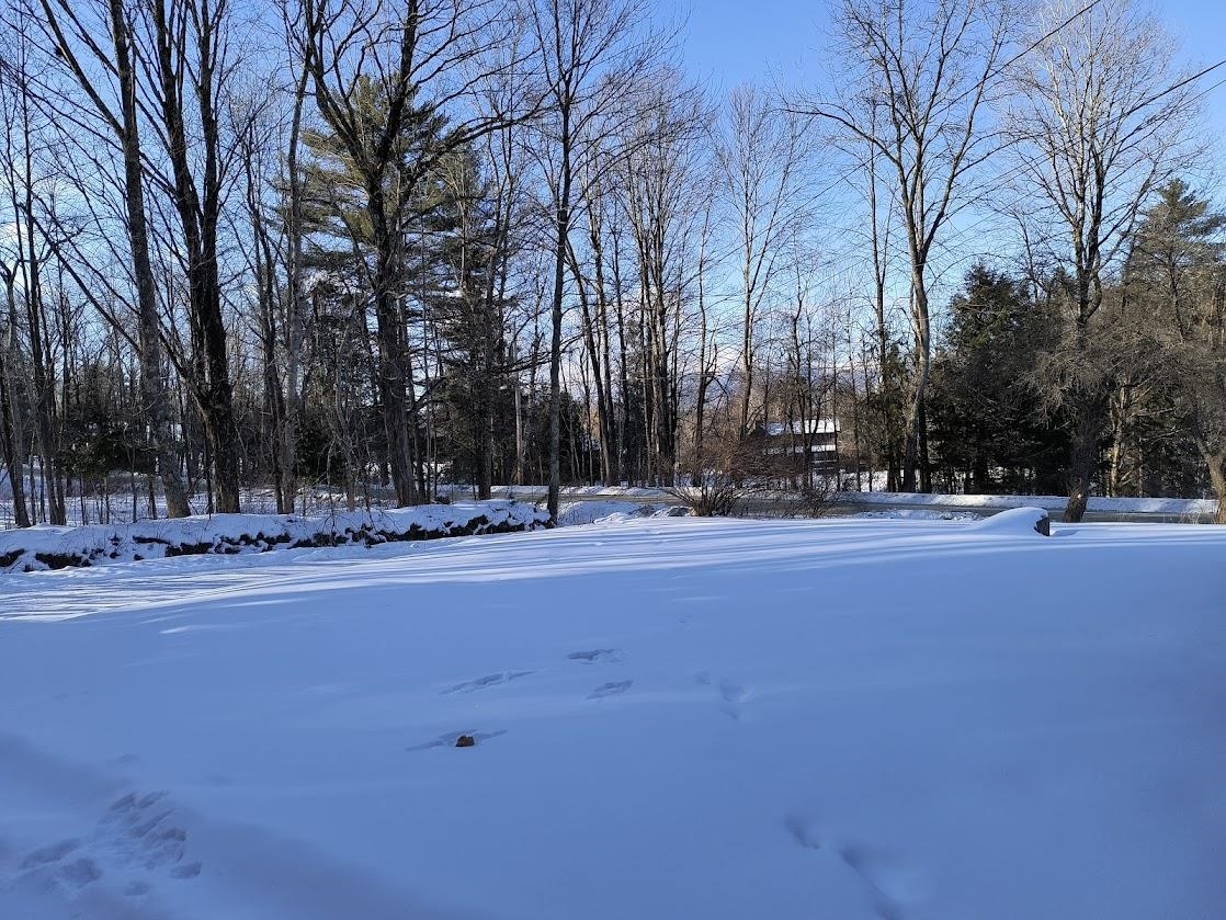 124 Bushnell Road