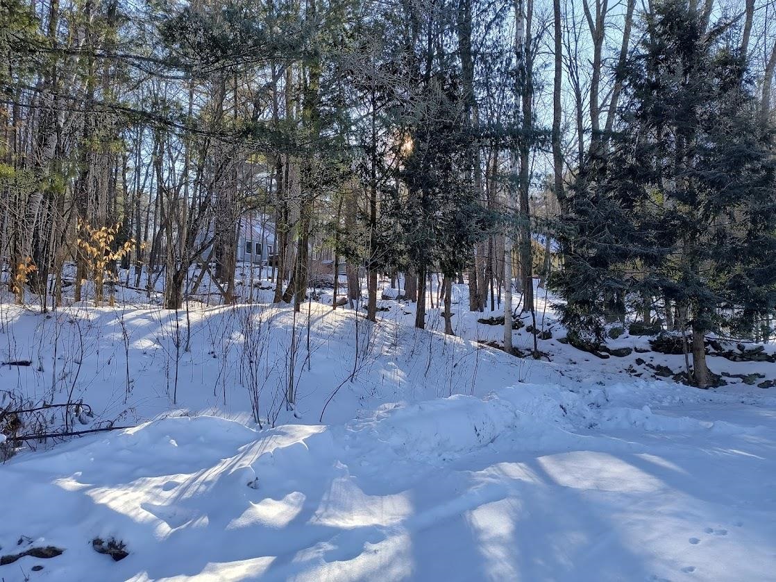 124 Bushnell Road