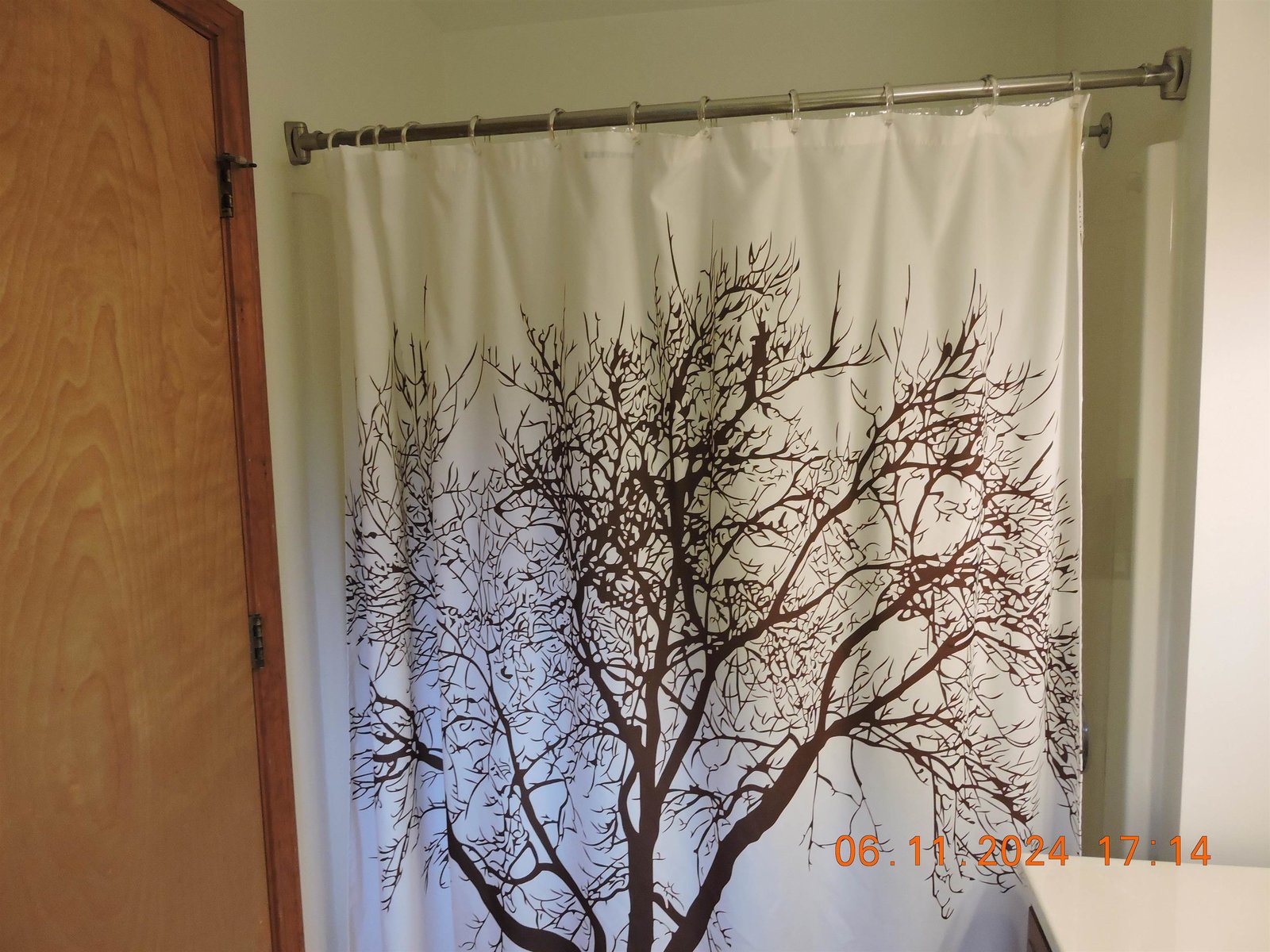 Primary  tub / Shower