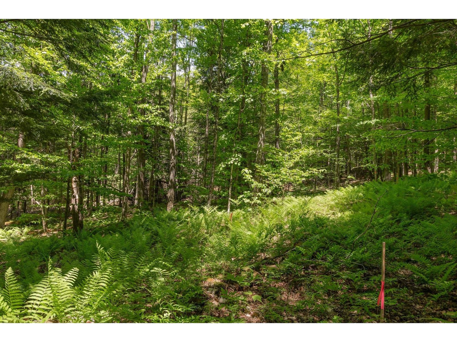 1243 North Hollow Road