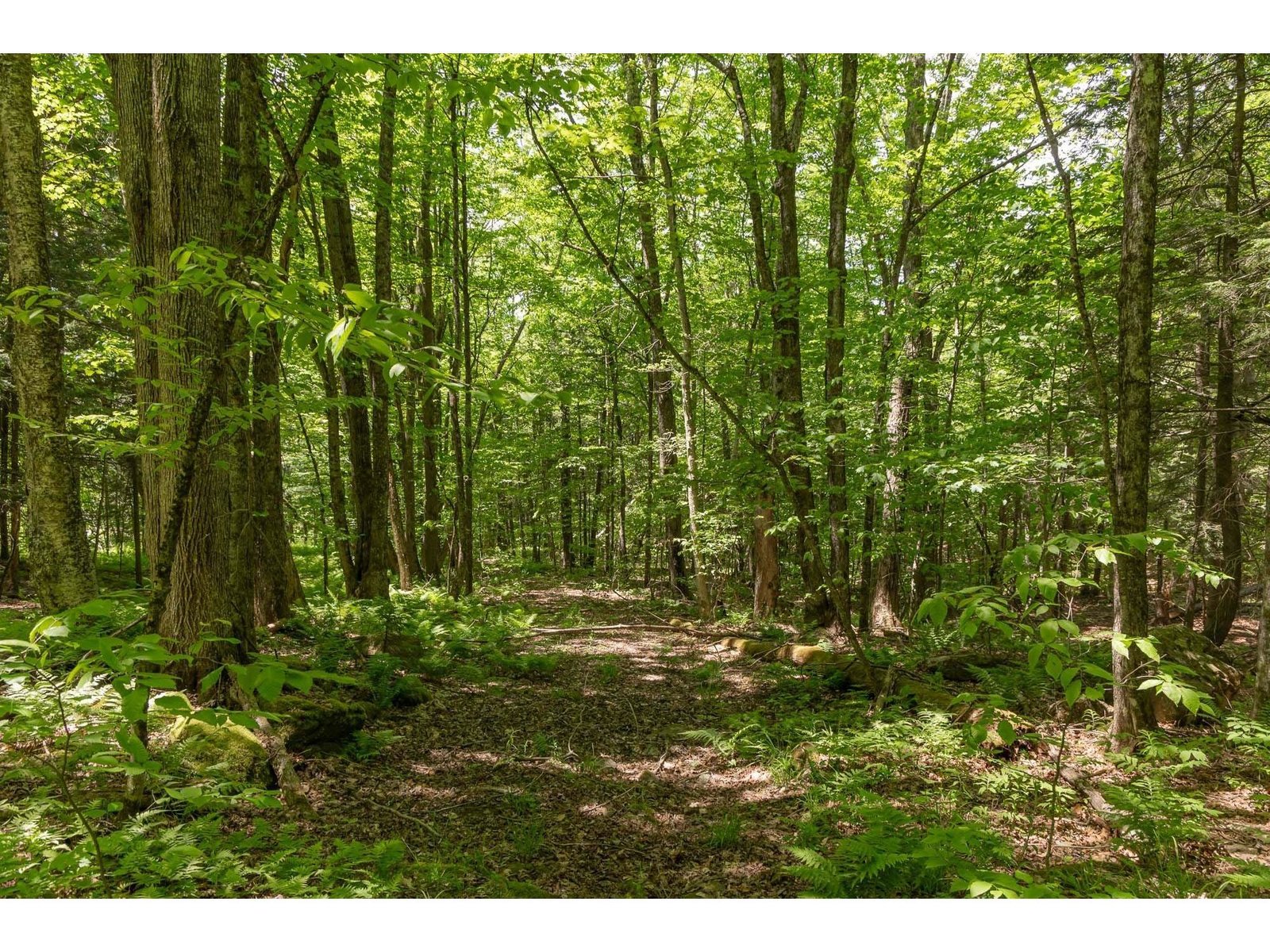 1243 North Hollow Road