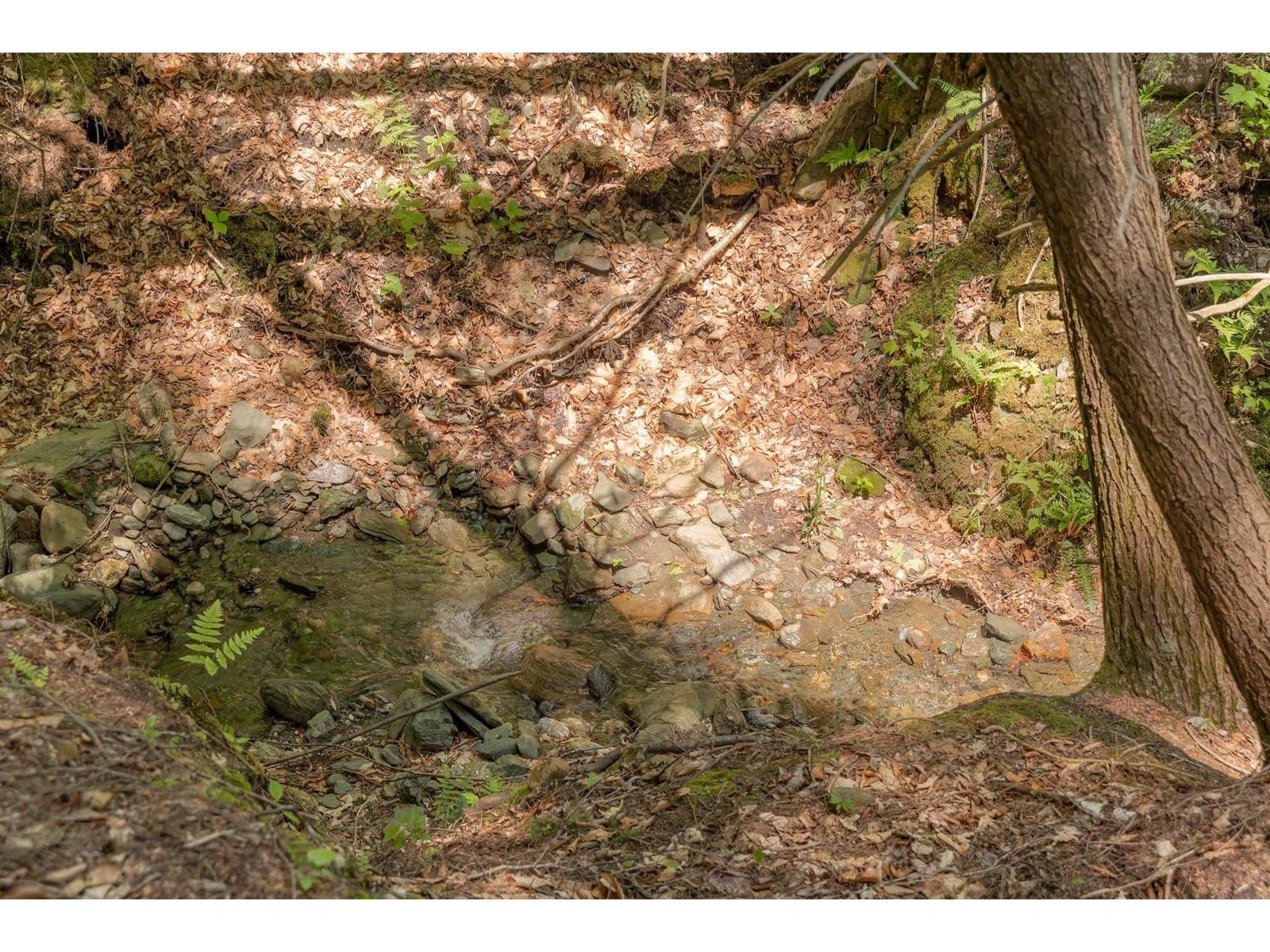 1243 North Hollow Road