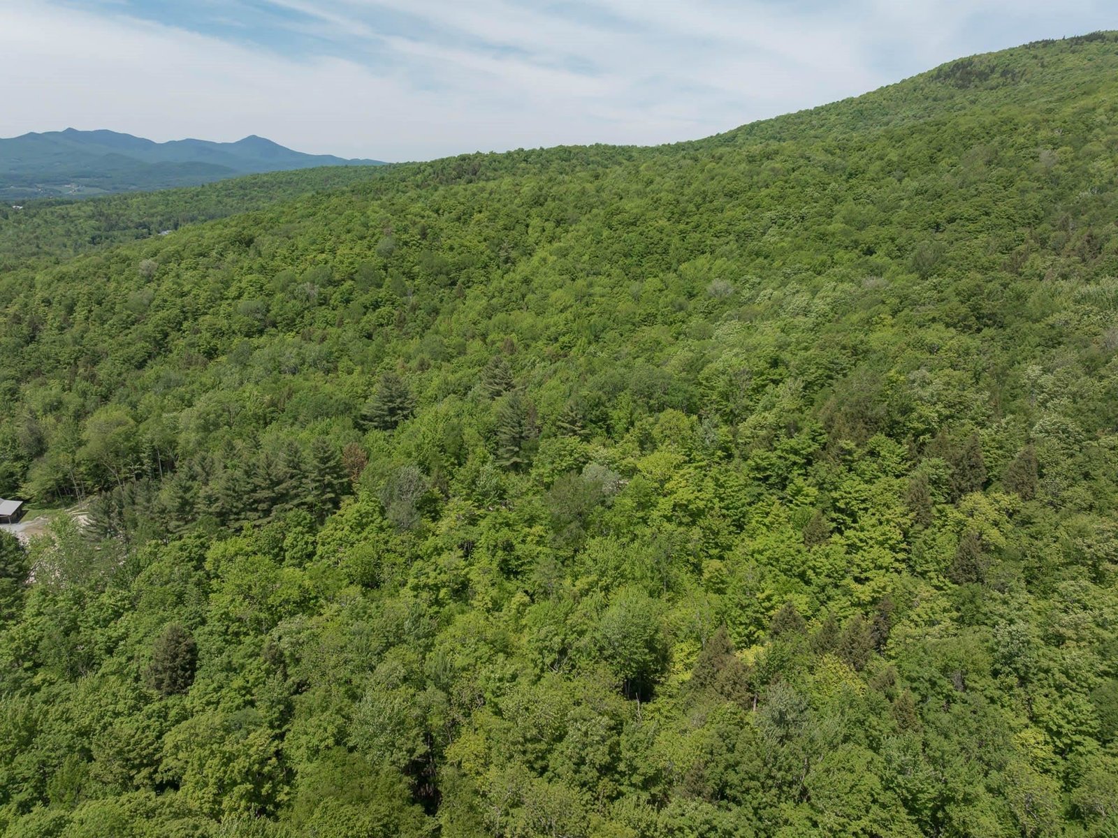 1243 North Hollow Road