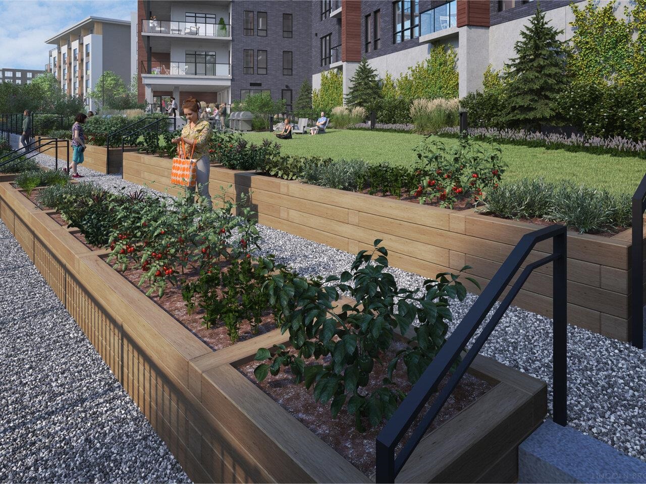 Seasonal garden program!