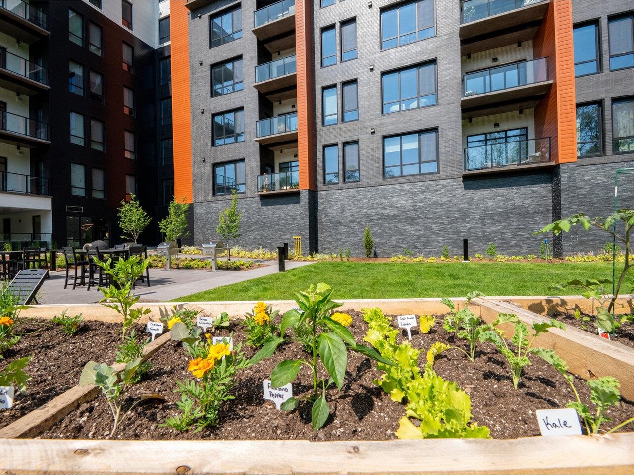 Enjoy the community garden