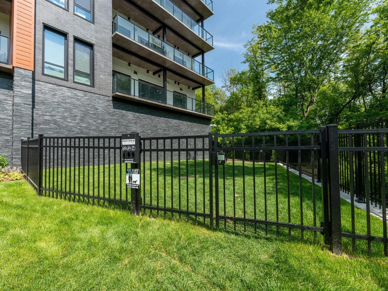 Fenced-in dog park