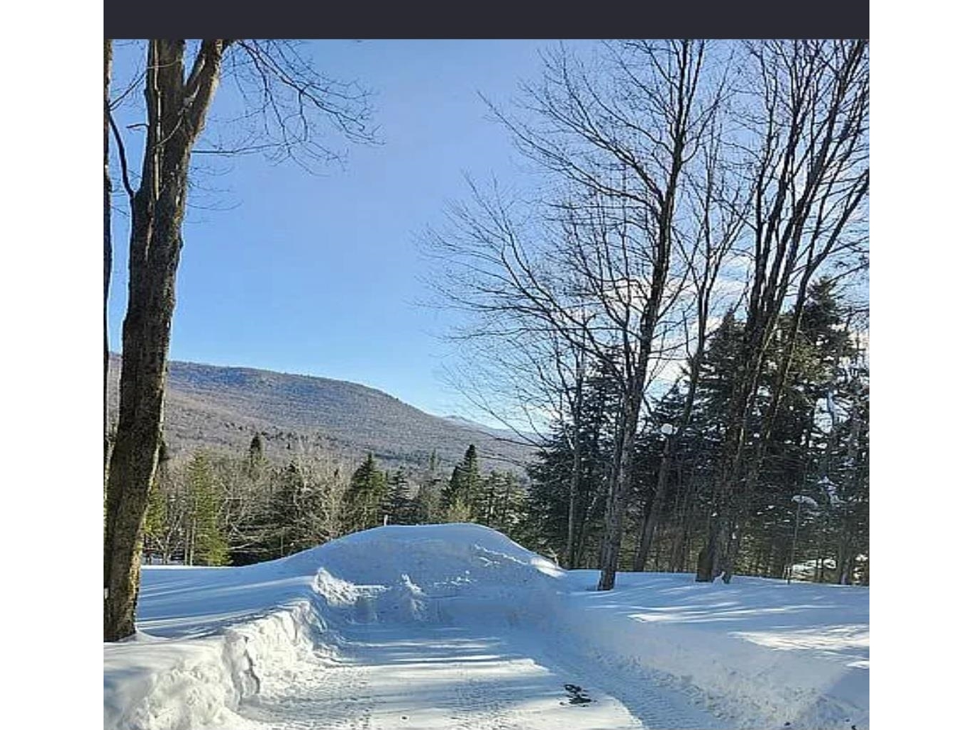 125 Evergreen Lane
