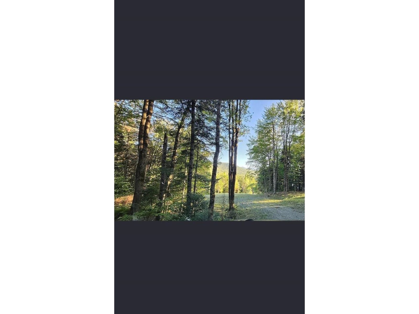 125 Evergreen Lane