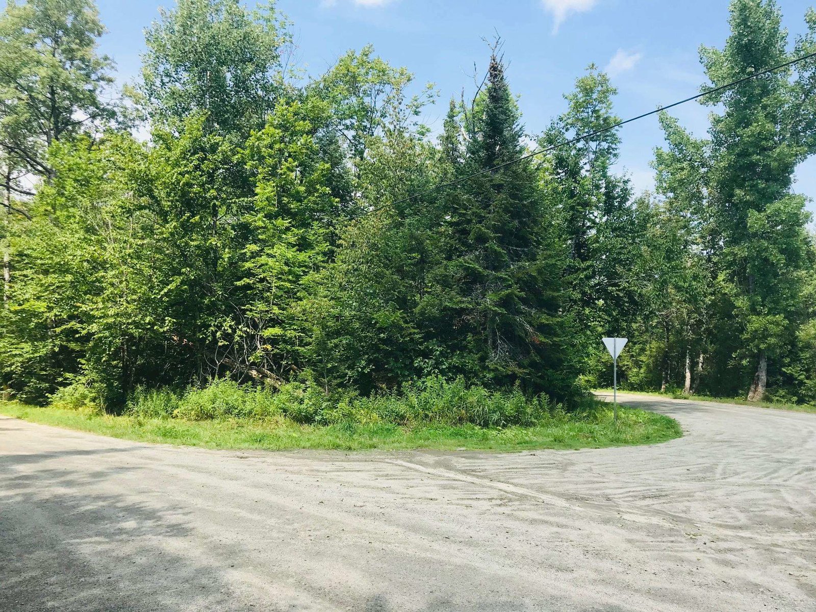 125 Harrington Road