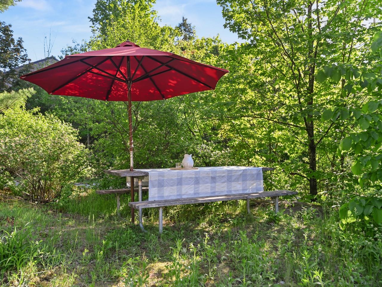 Shaded garden picnic spot