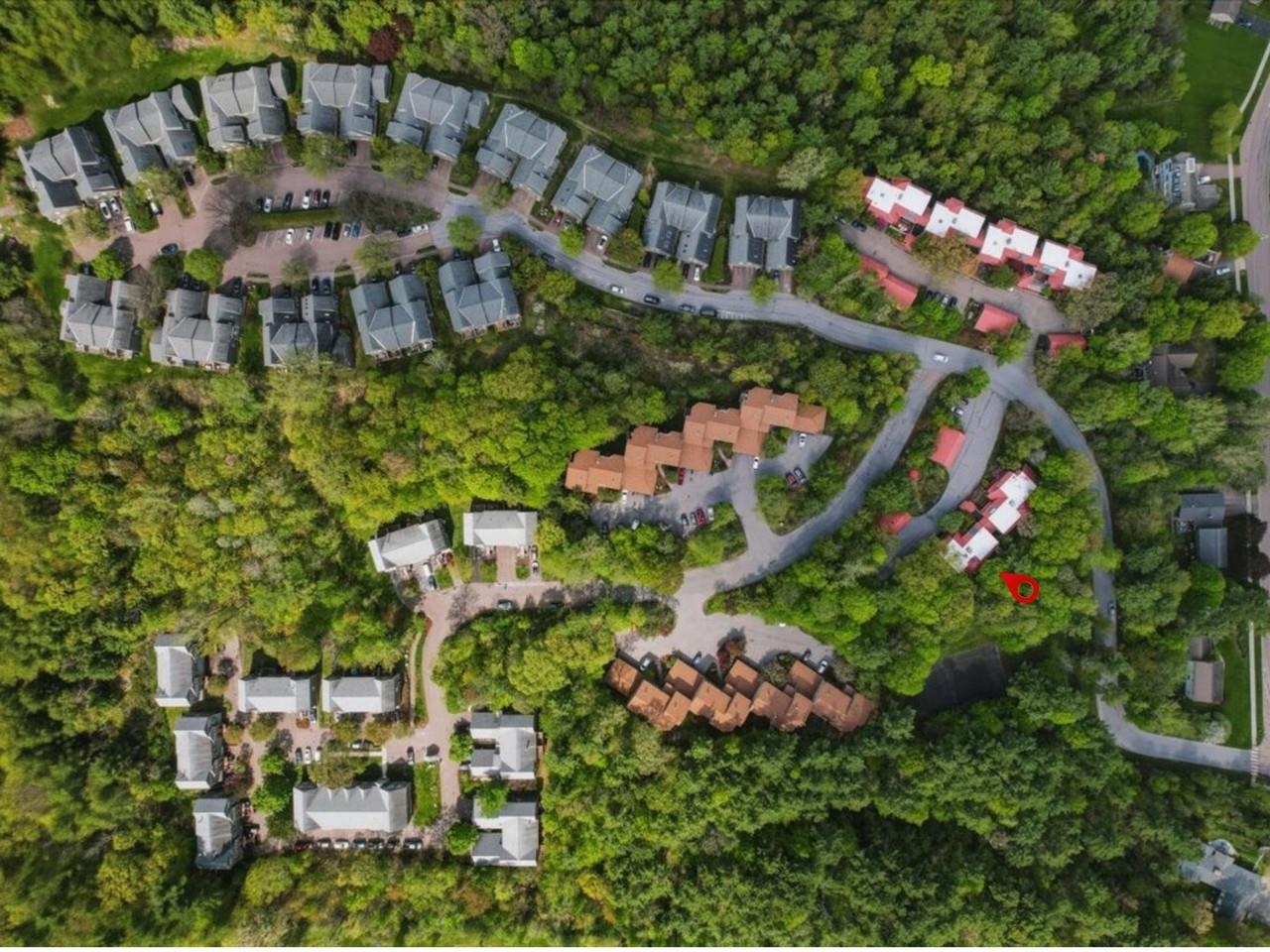 Scenic wooded setting