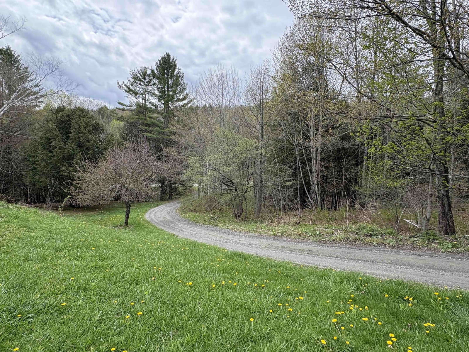 1250 Braintree Hill Road