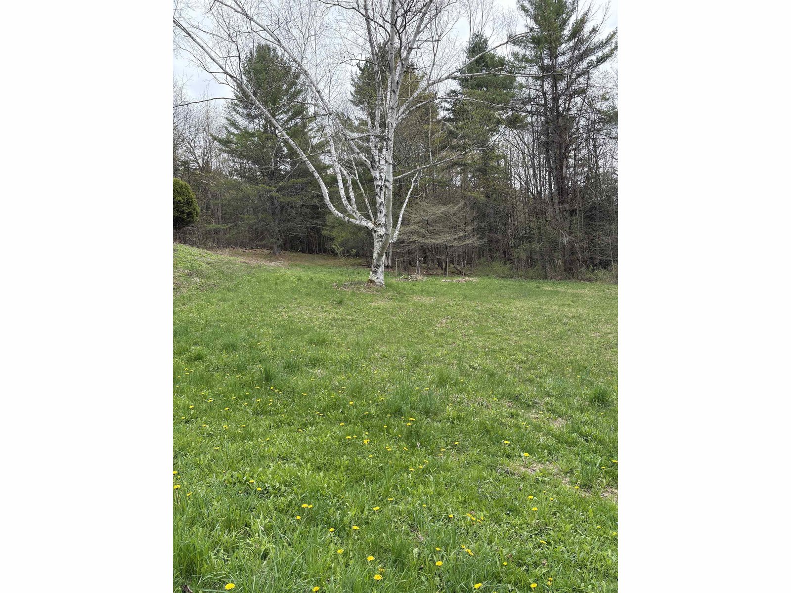 1250 Braintree Hill Road