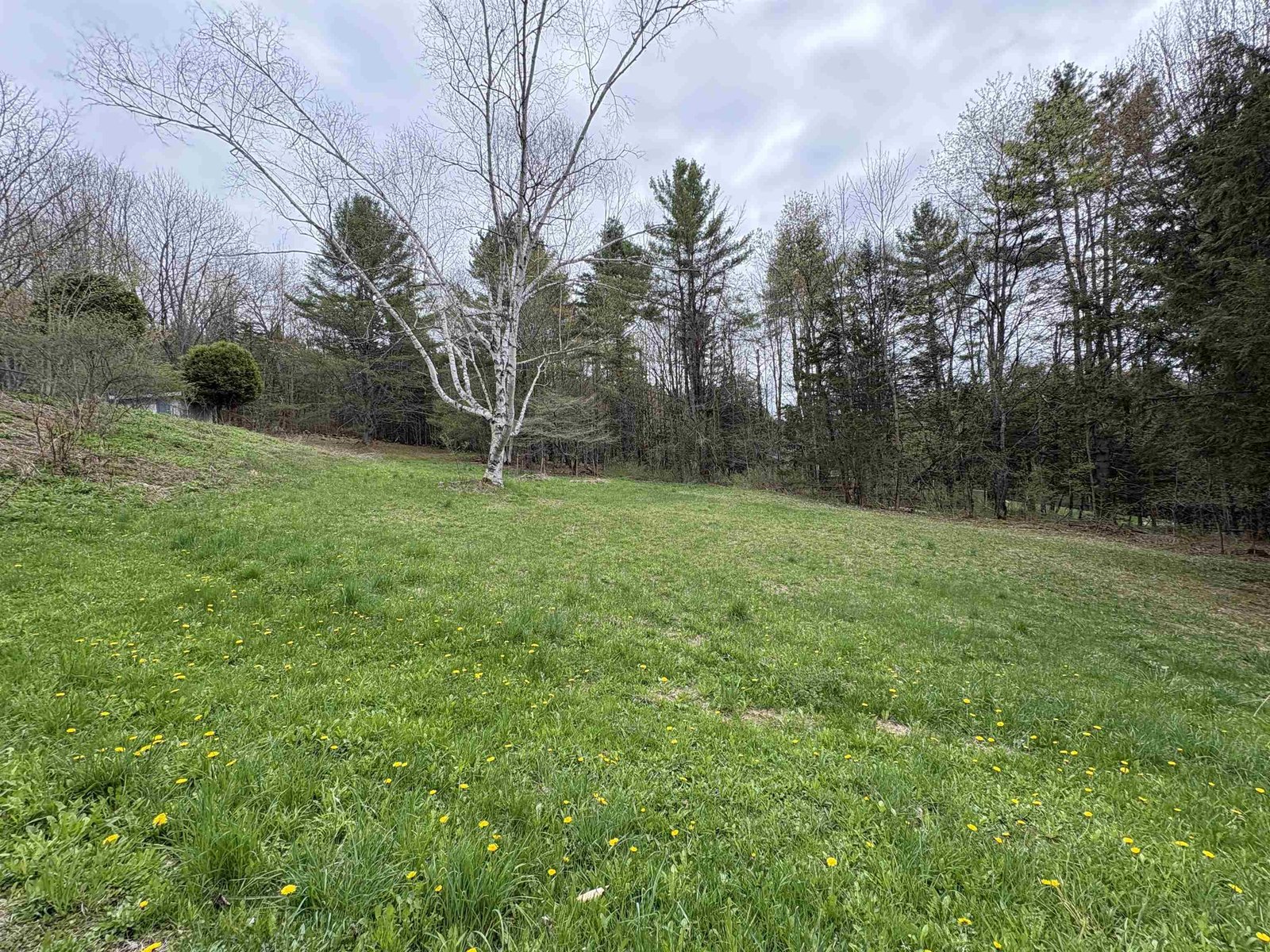 1250 Braintree Hill Road