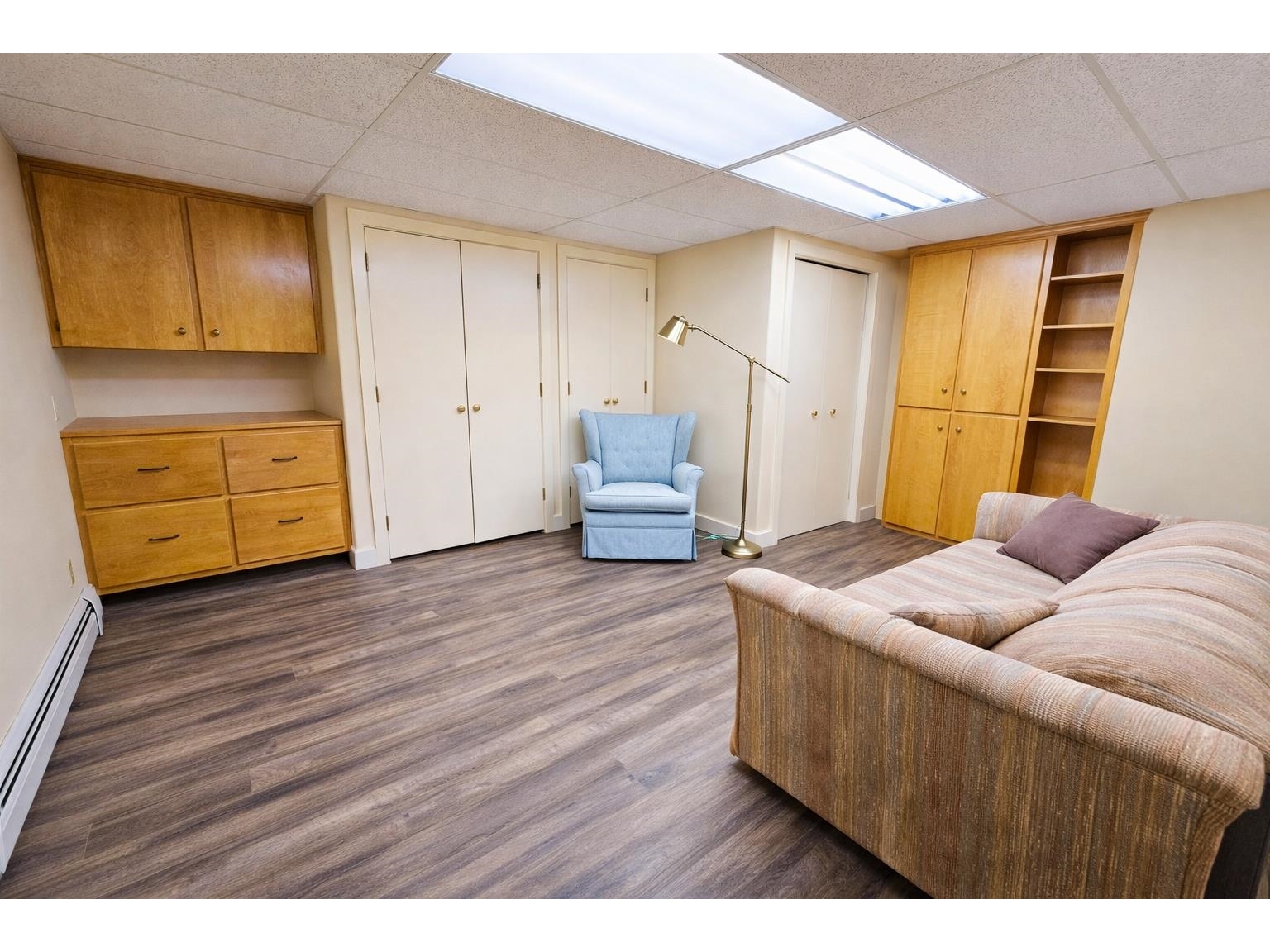 Family Room (lower level)