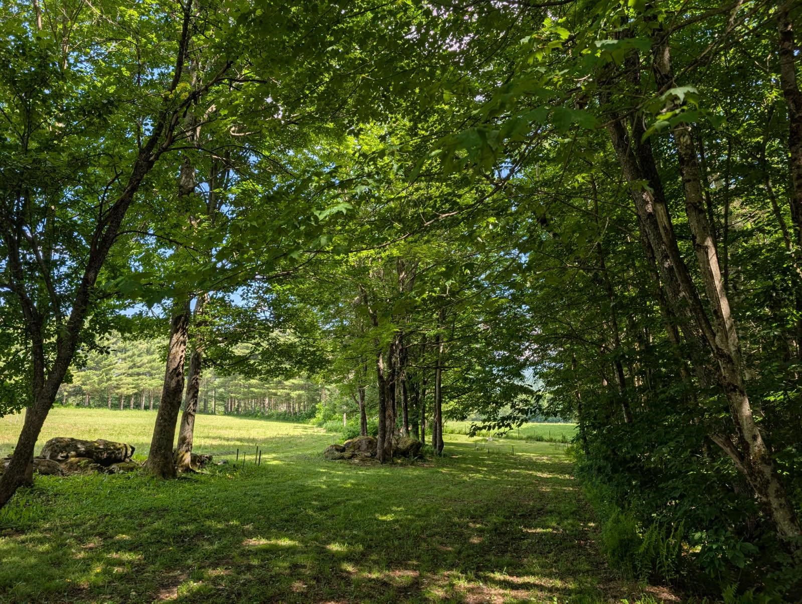 1257 Sniderbrook Road