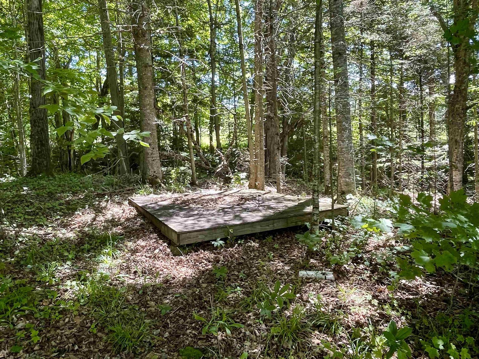 1258 Pinkham Road