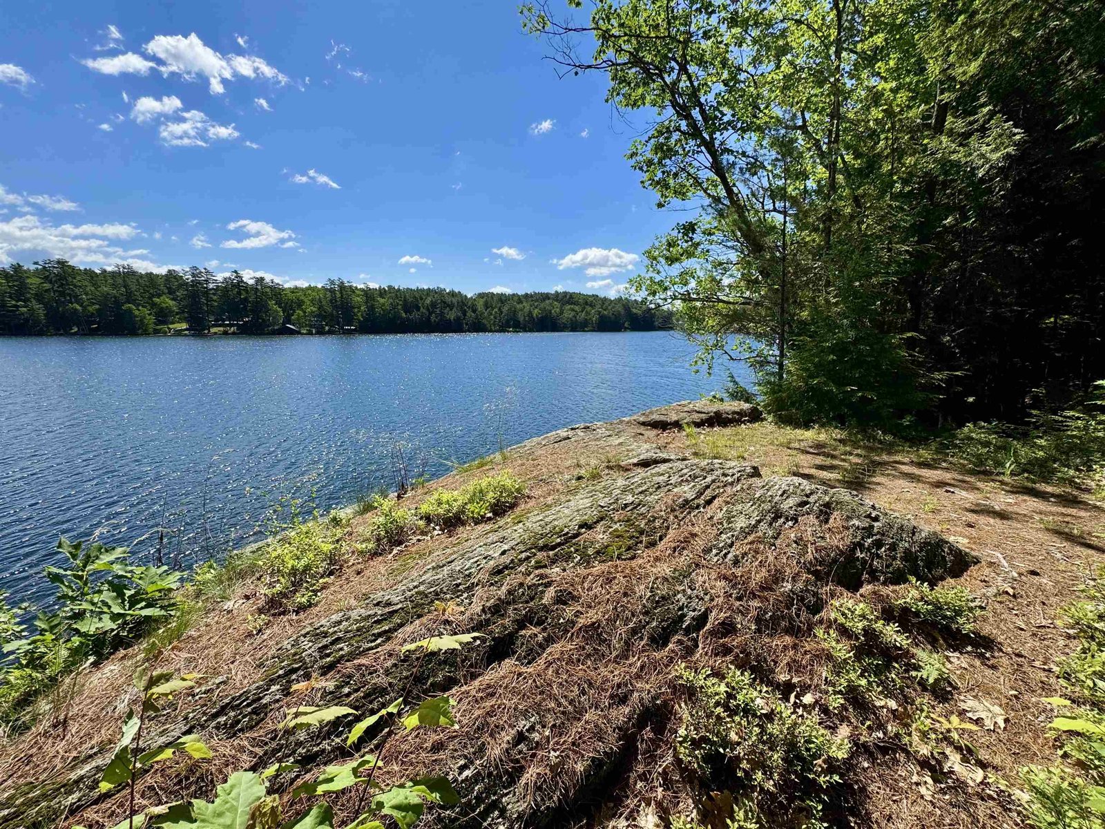 1269 Halls Lake Road