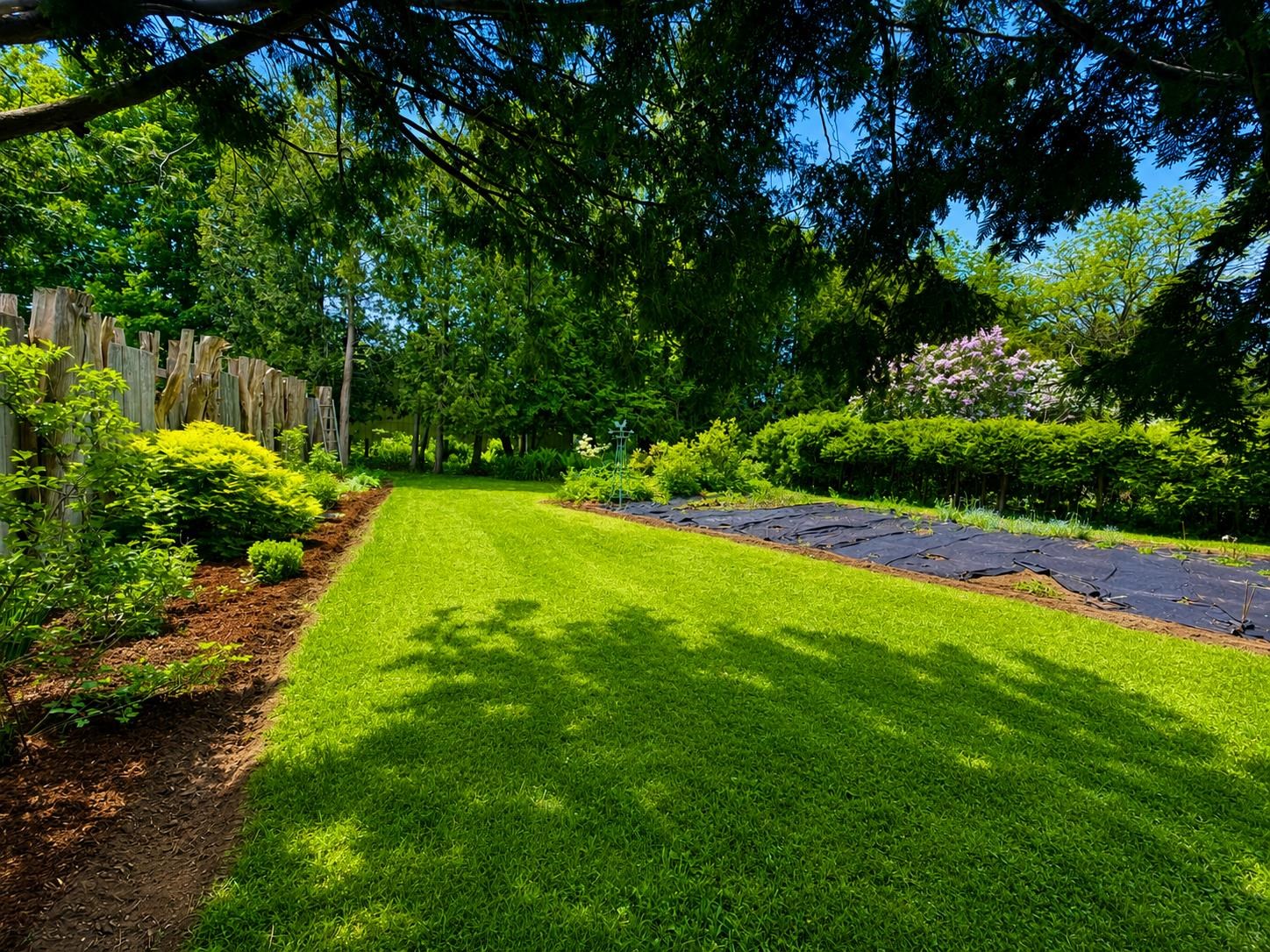 Backyard Gardens