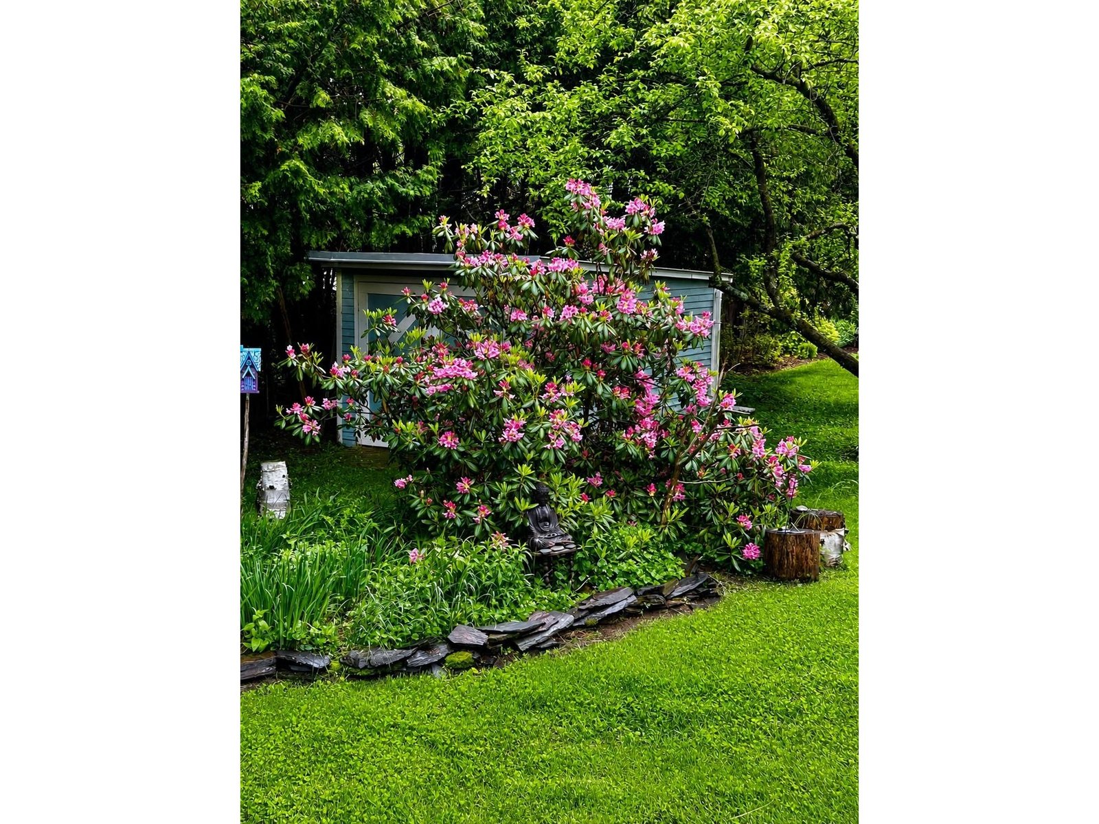 Beautiful Landscaping