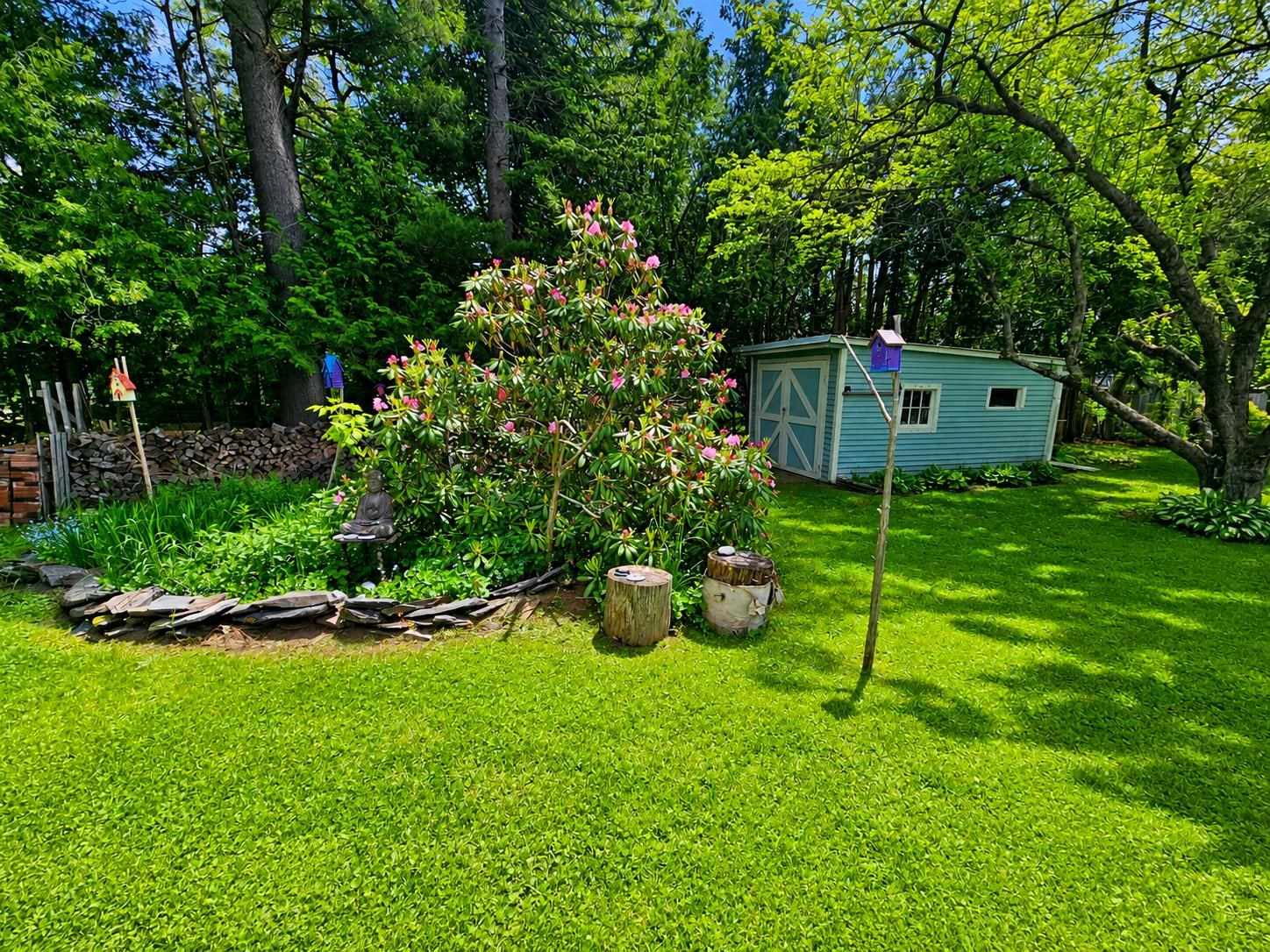 Shed