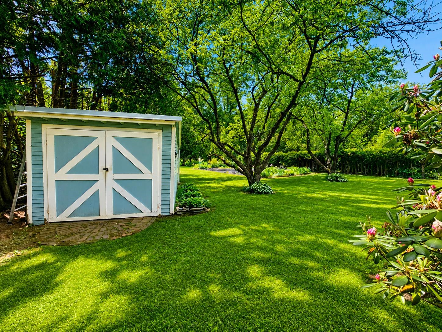 Shed