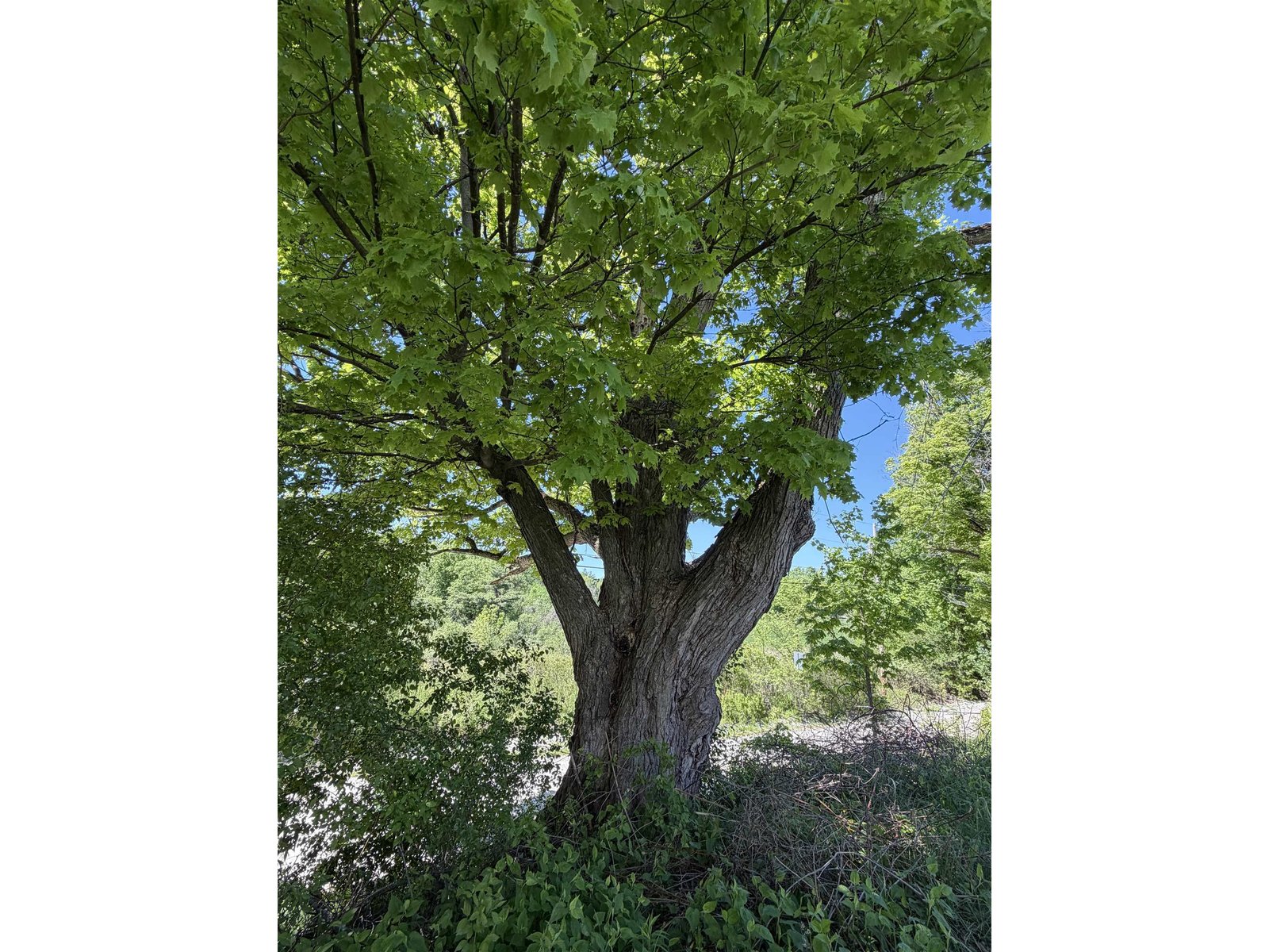 129 Daigneault Hill Road