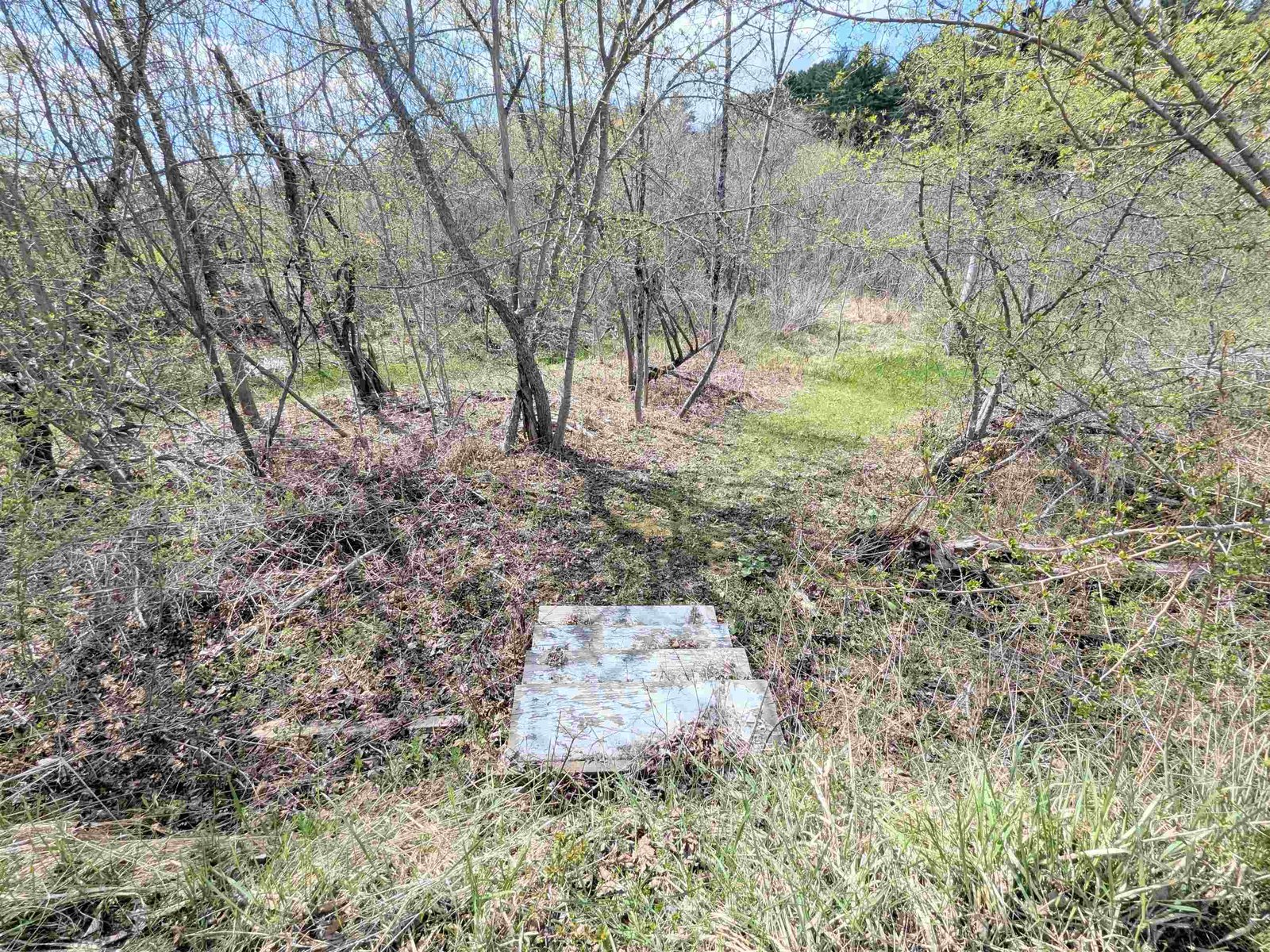 1292 US Route 2