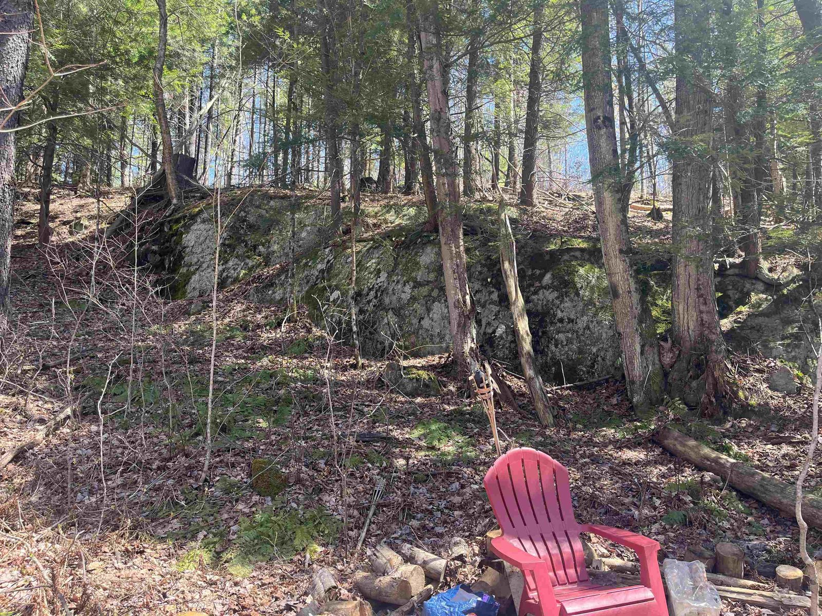 1295 River Road
