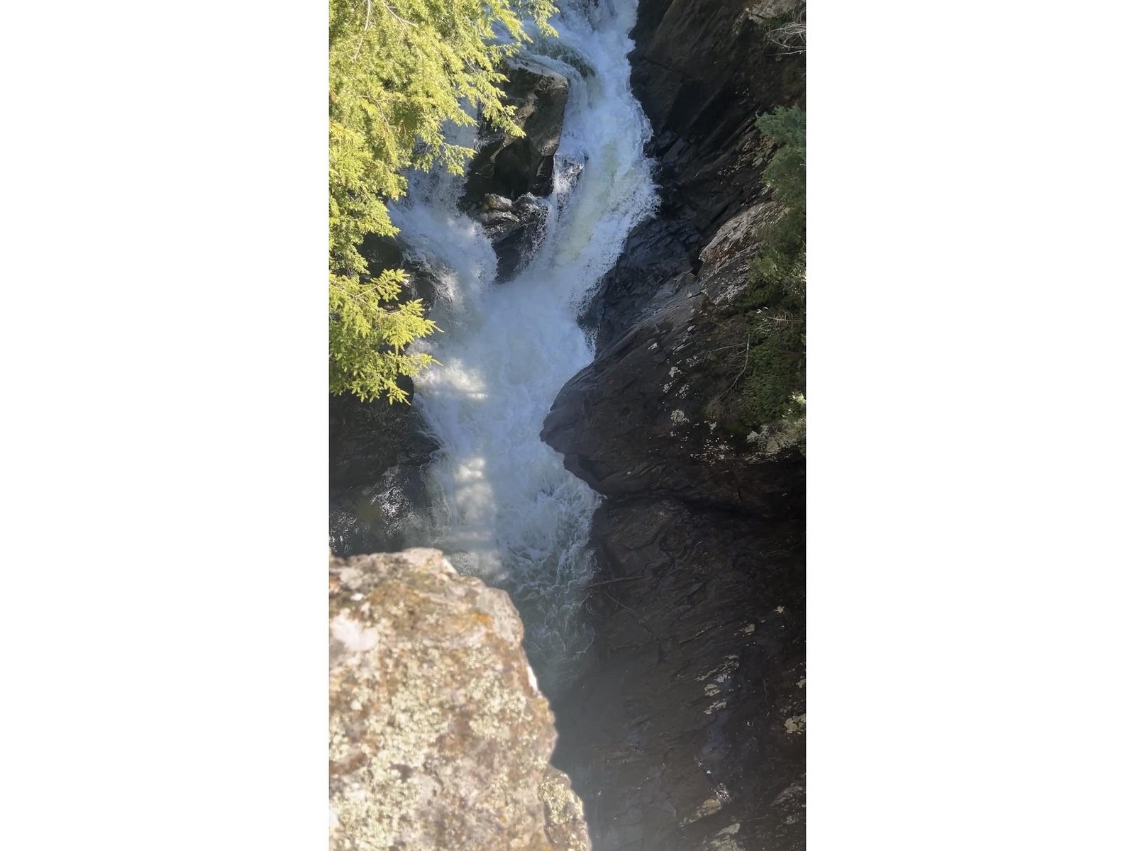 1295 River Road