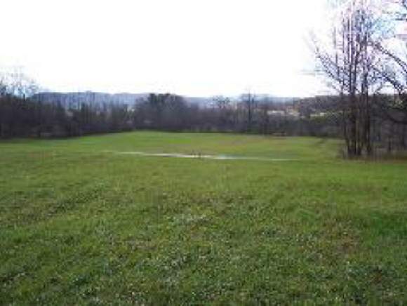 1299 Buck Hollow Rd