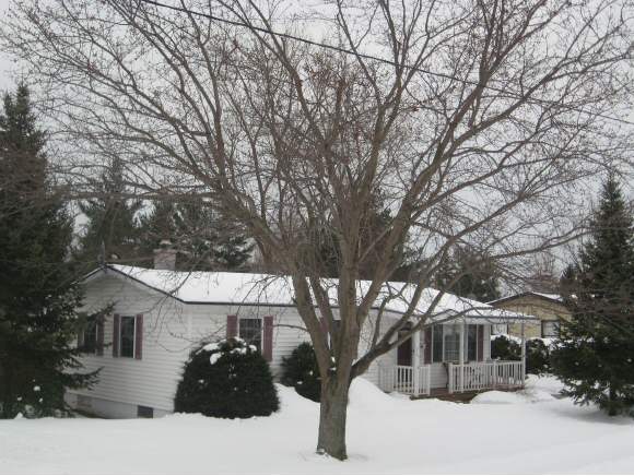 13 Finn Ave