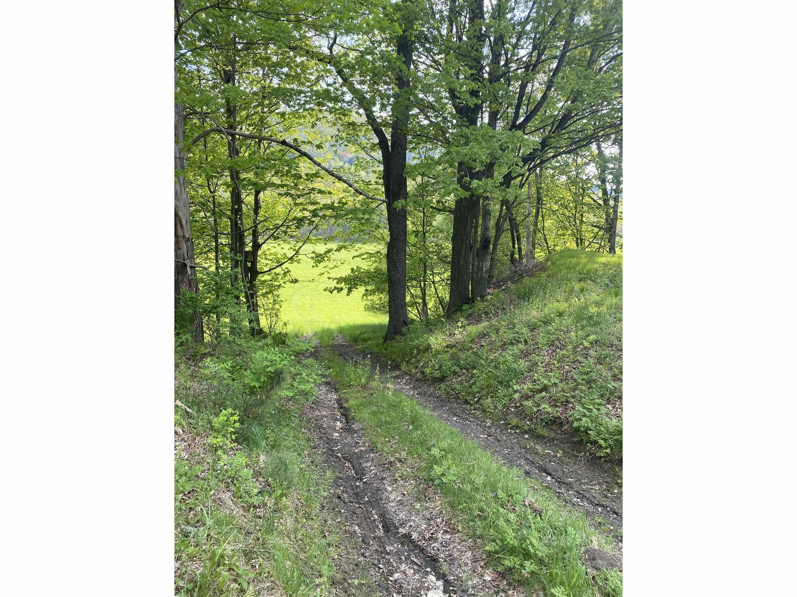 13 Happy Hollow Road