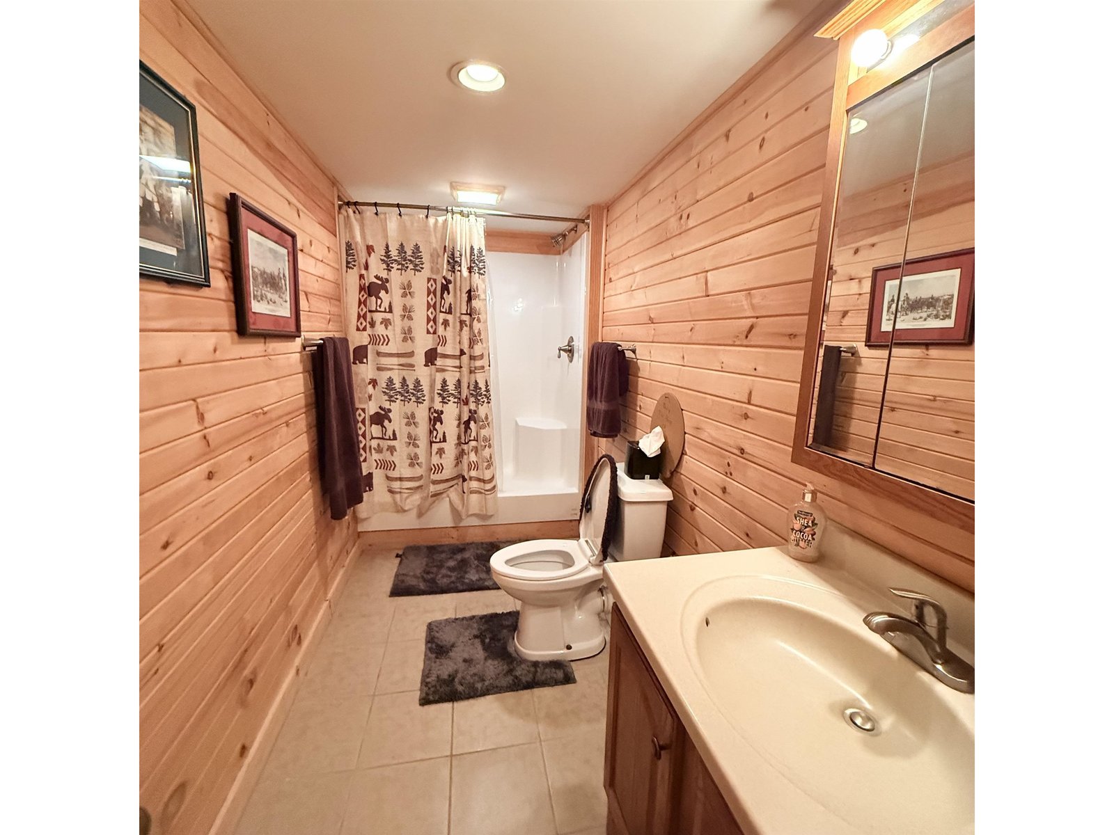 Basement 3/4 Bath
