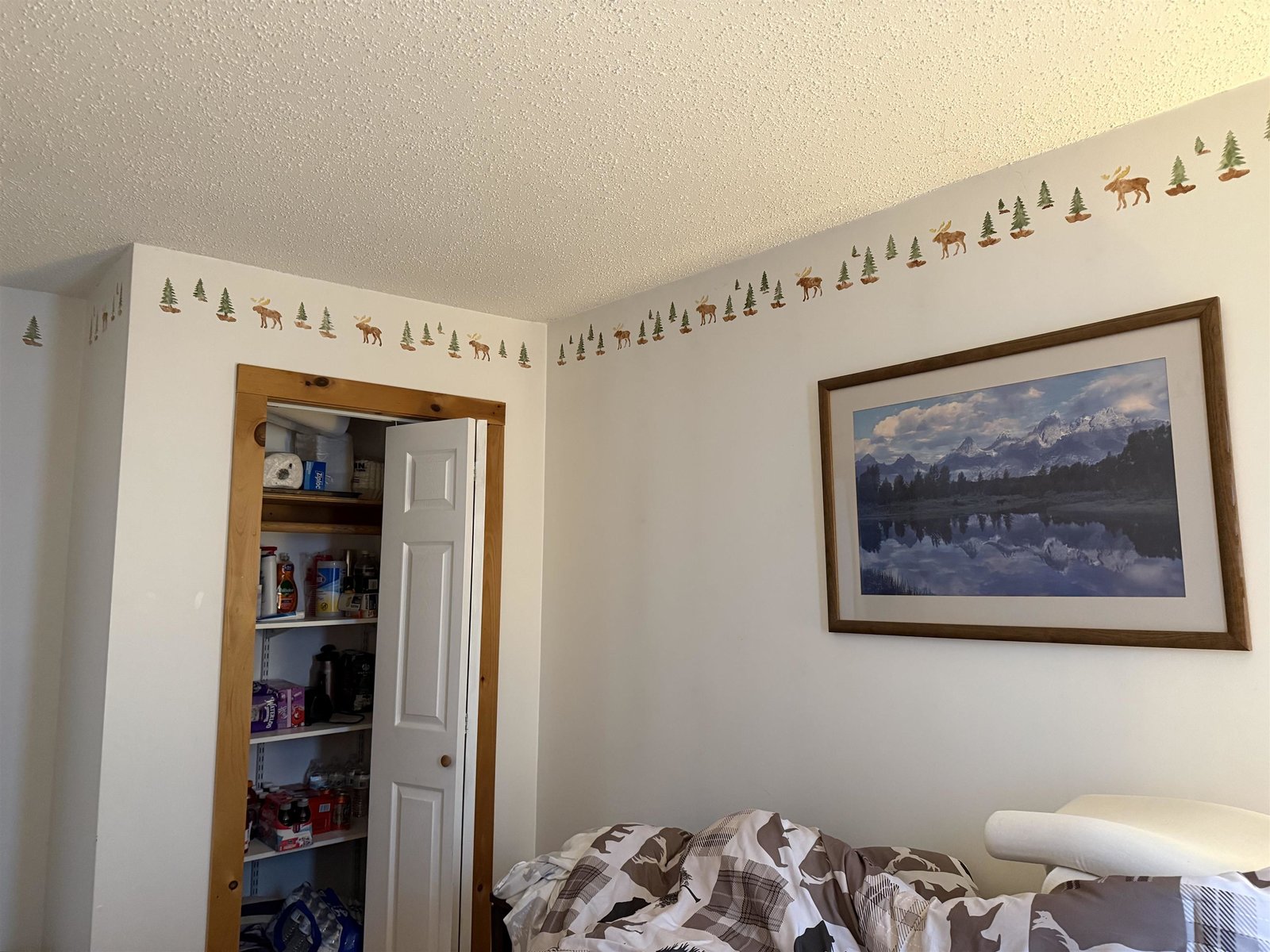 Closet BR #1