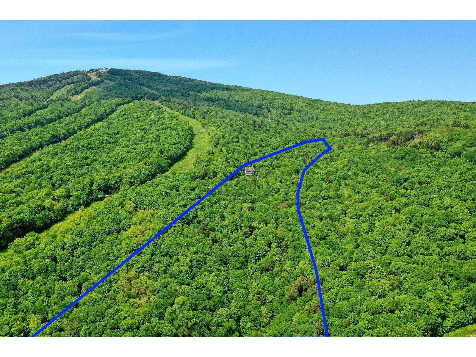 1300 Mountain Road