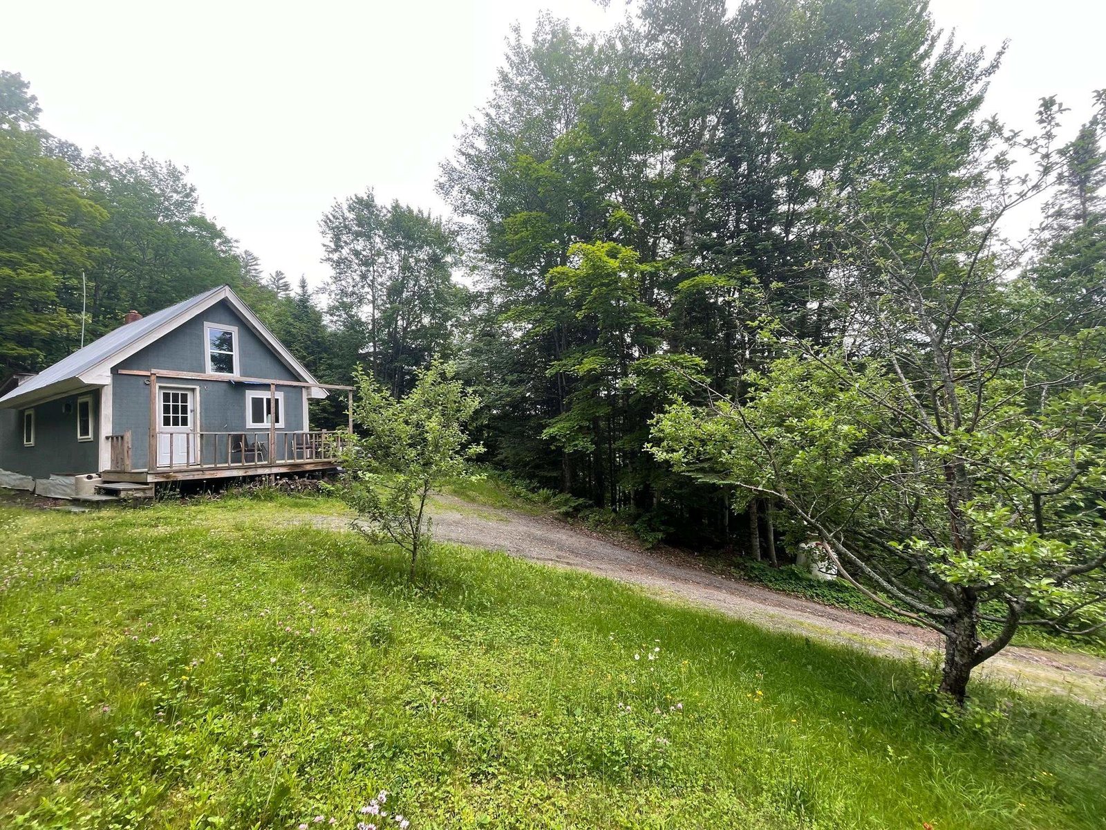 1303 Cranberry Meadow Road