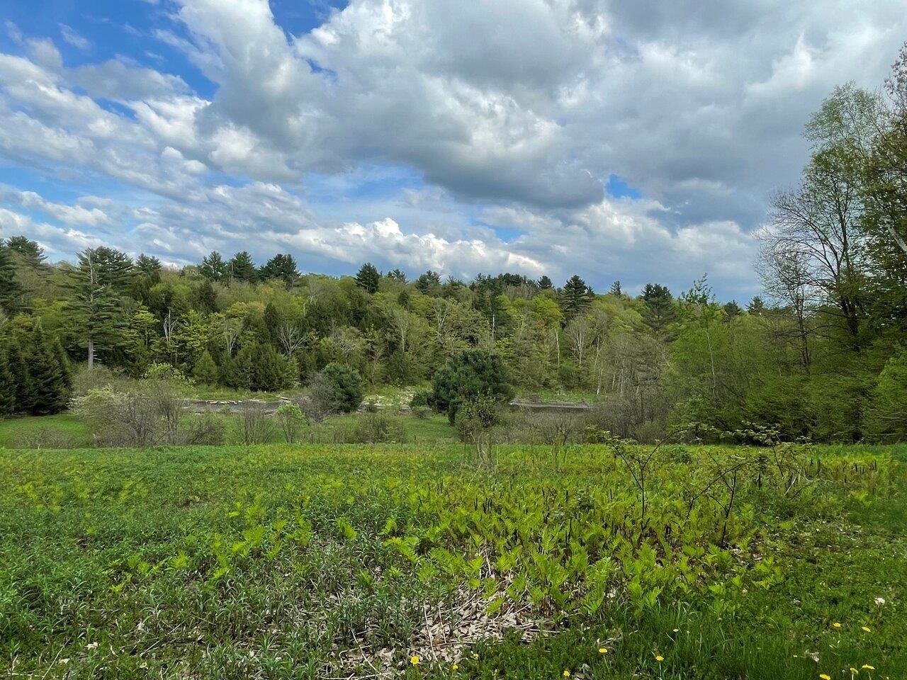 Pasture to pond