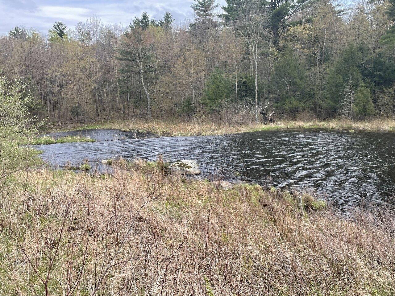 Pond in backyard