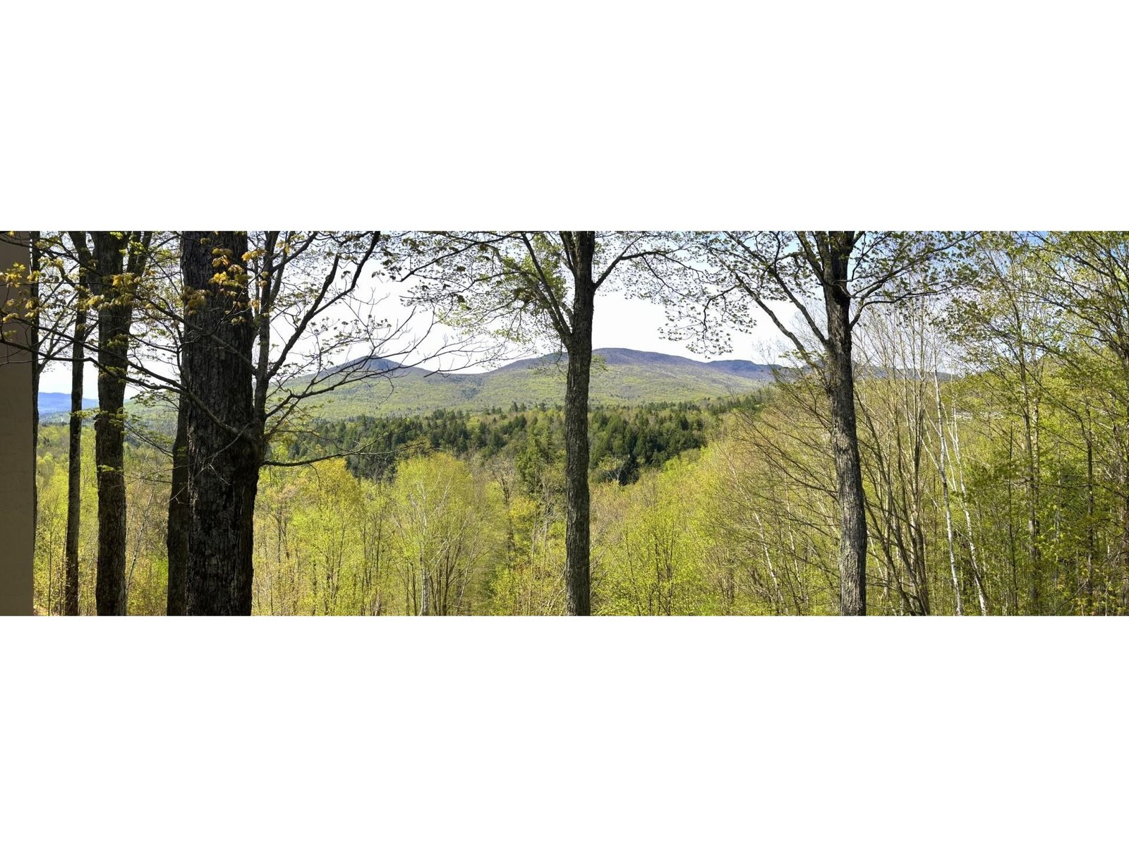 1309 Notchbrook Road, Unit 2AB