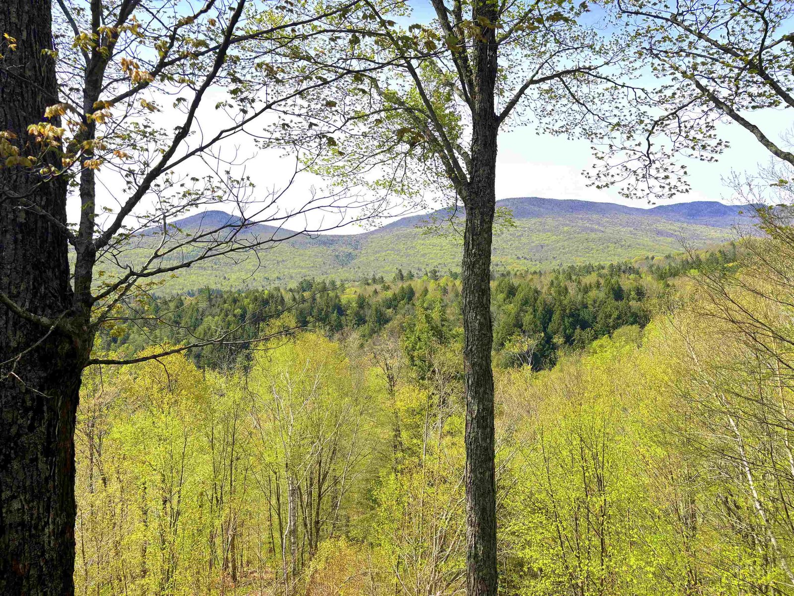 1309 Notchbrook Road, Unit 2AB